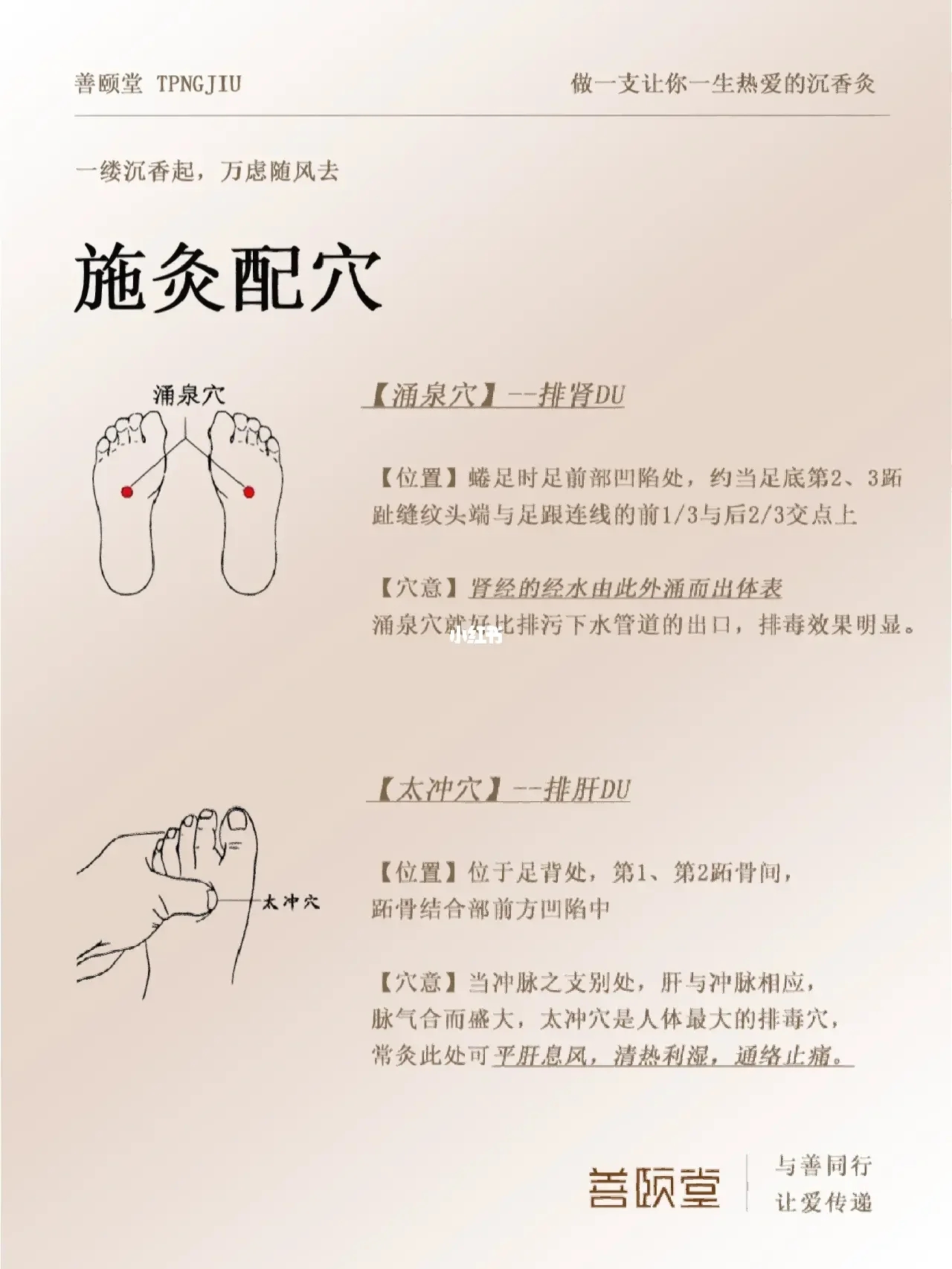 春养肝｜春不排毒，夏必受苦‼️‼️