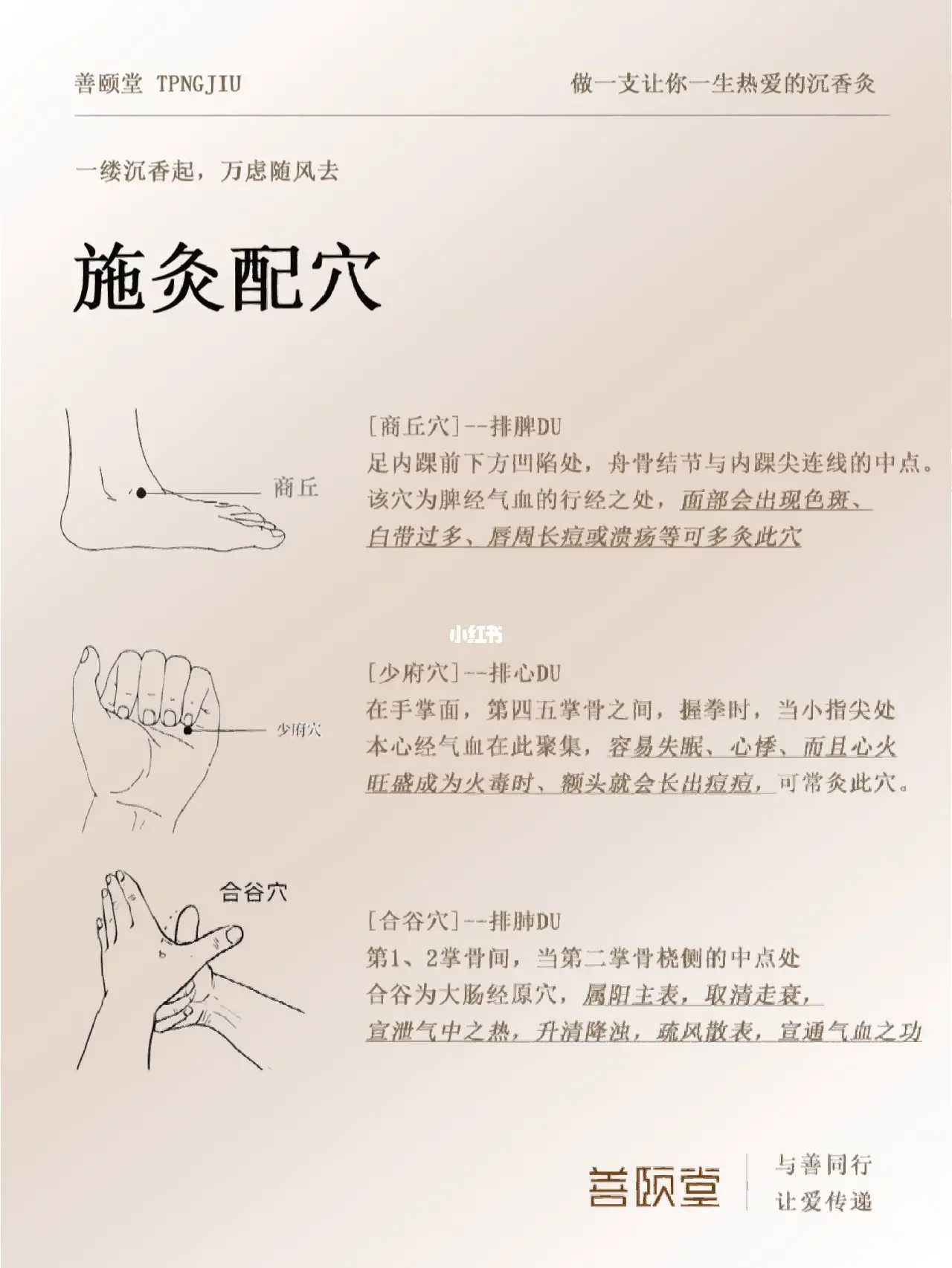 春养肝｜春不排毒，夏必受苦‼️‼️