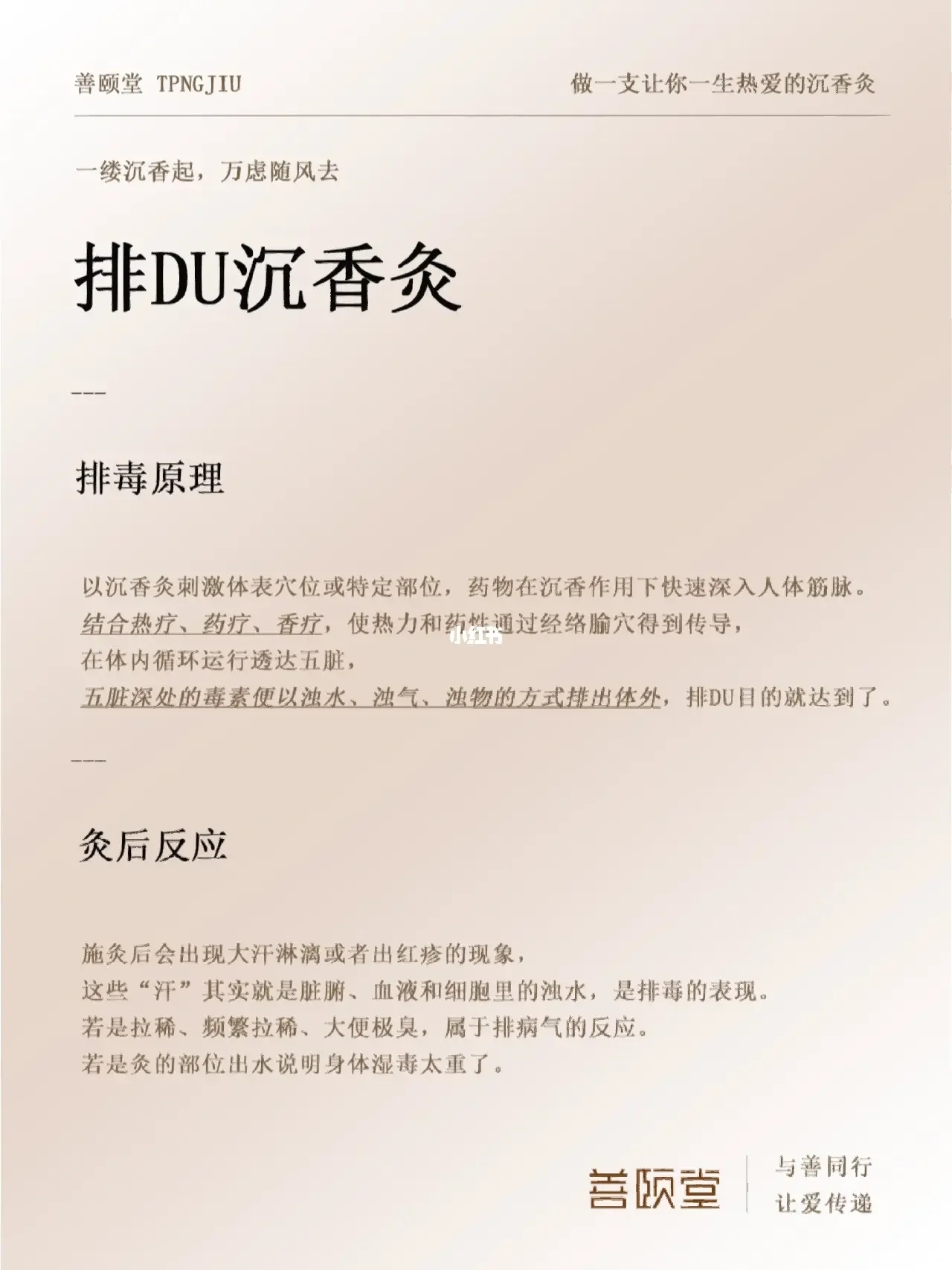 春养肝｜春不排毒，夏必受苦‼️‼️