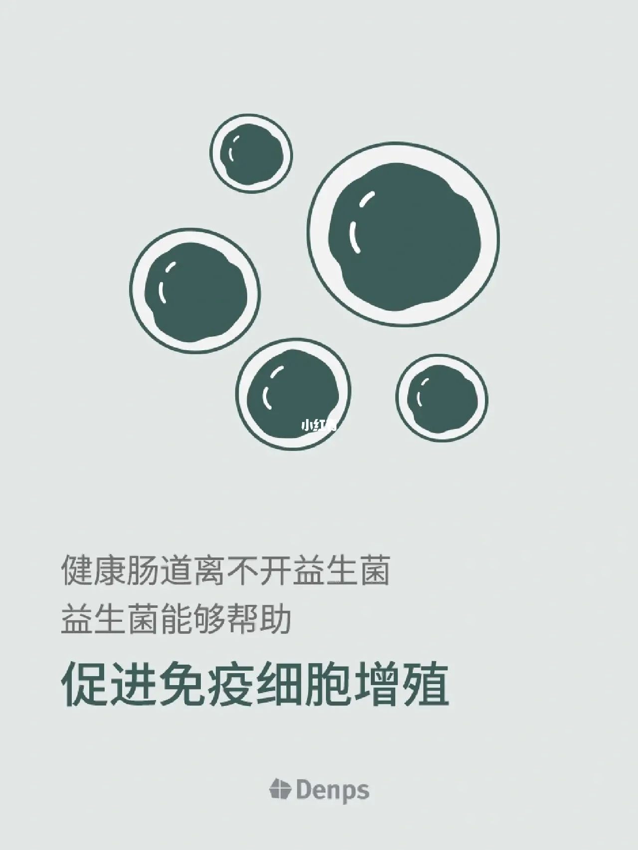 肠道健康 | 70%的免疫防护来源于肠道健康