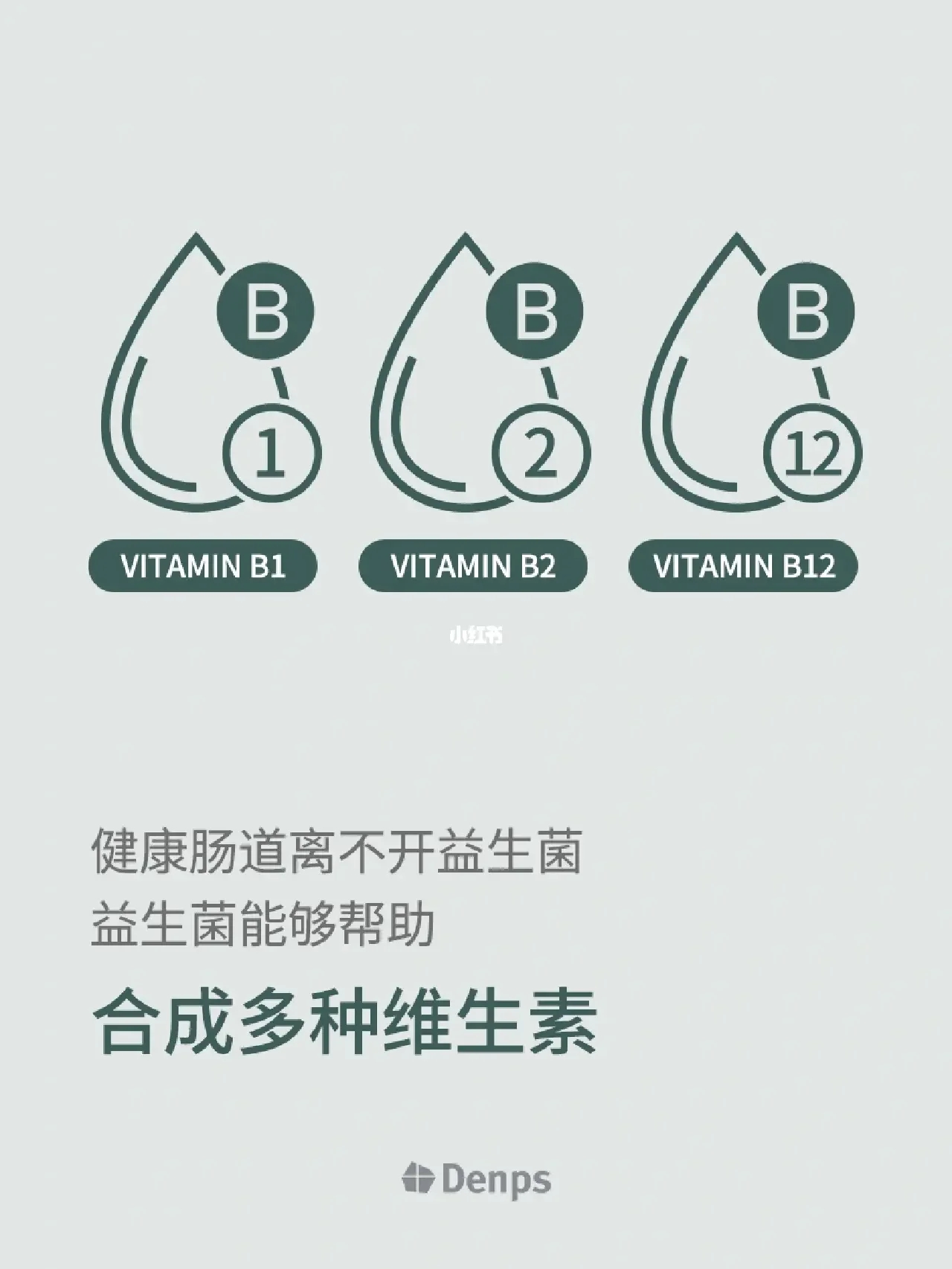 肠道健康 | 70%的免疫防护来源于肠道健康