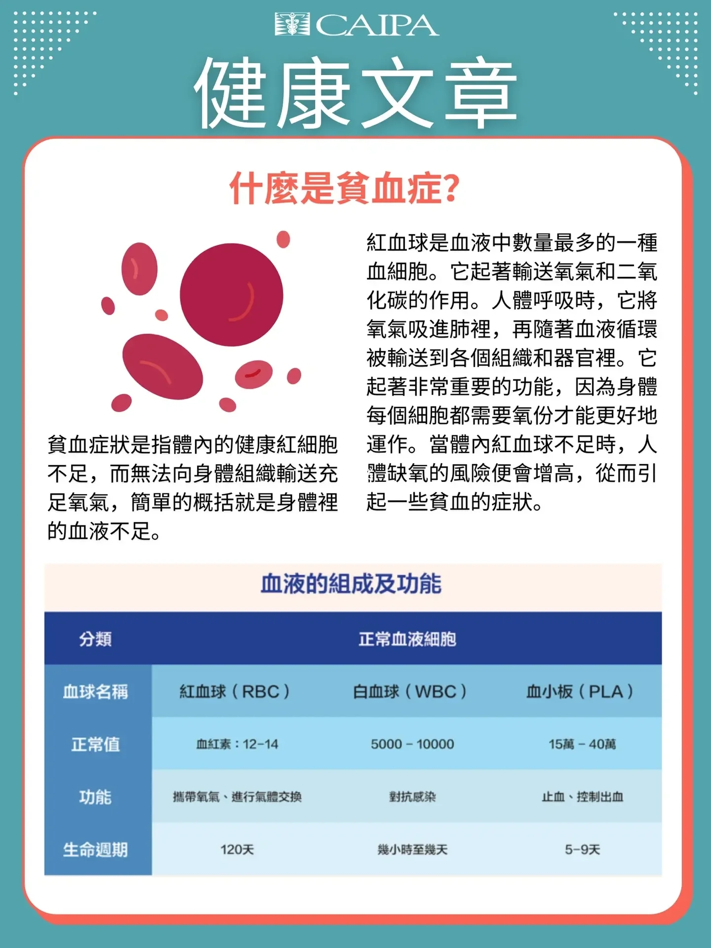 健康文章 - 貧血症