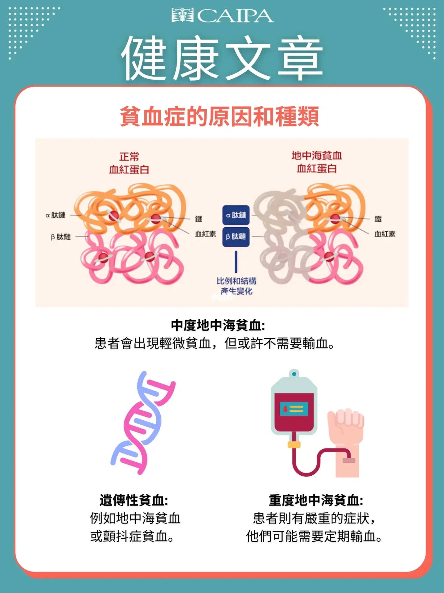 健康文章 - 貧血症