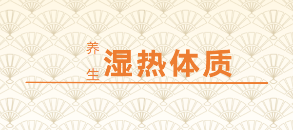 湿热体质学起来